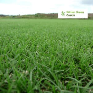 Wintergreen Turf Couch