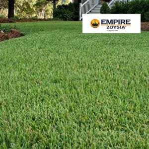 Empire Zoysia Grass