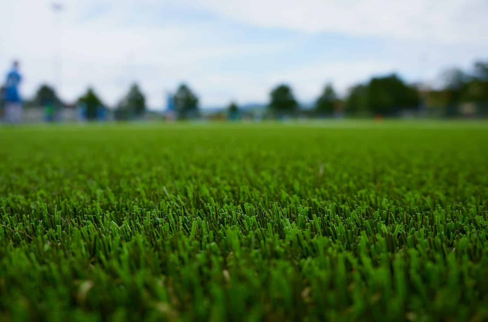 green grass field during daytime