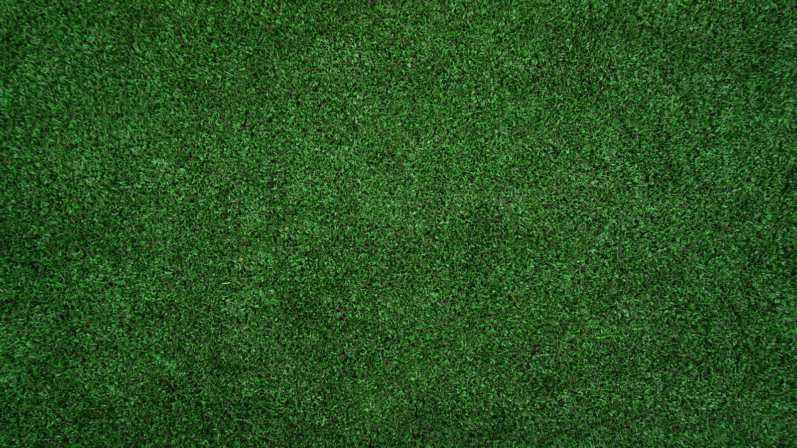 topview of grass lawn